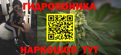 стафф Ипатово