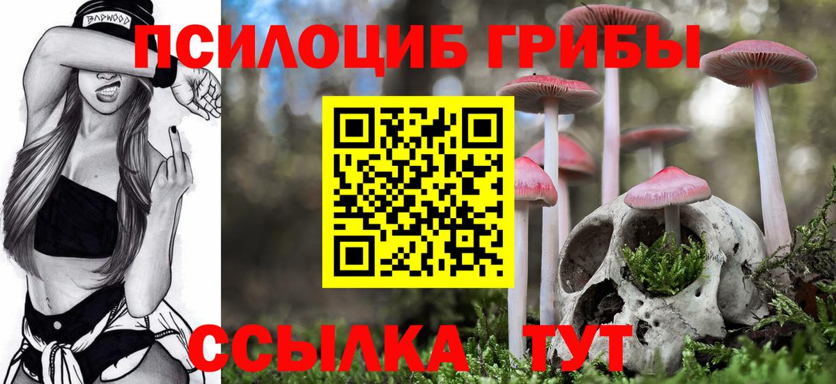Галлюциногенные грибы Cubensis  Вход с VPN  даркнет сайт  Волхов 